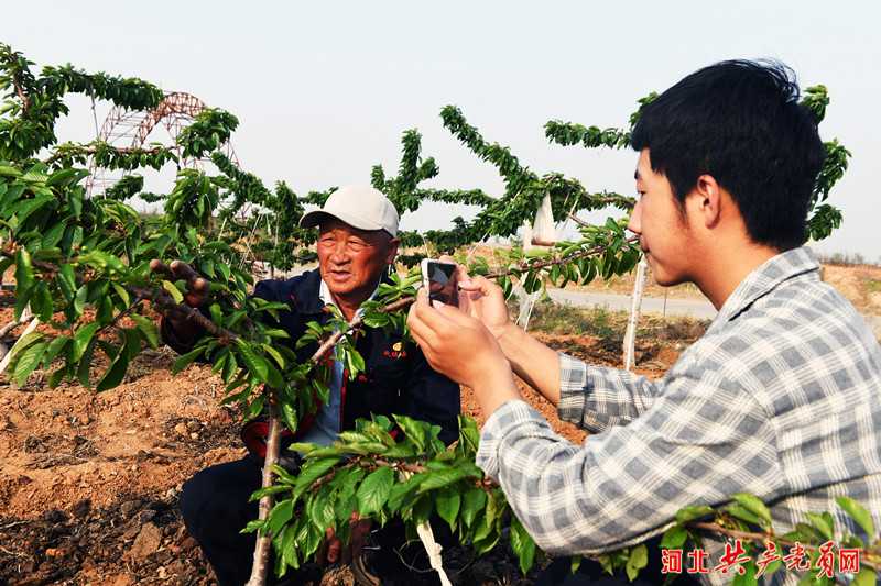 乡村振兴丨河北迁安：大学生借力电商农产品走出家乡