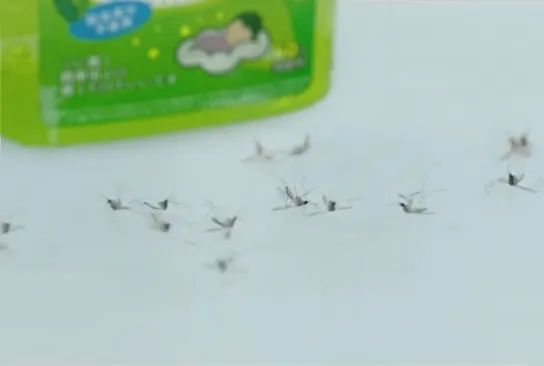 日本人驱蚊产品,日本人灭蚊