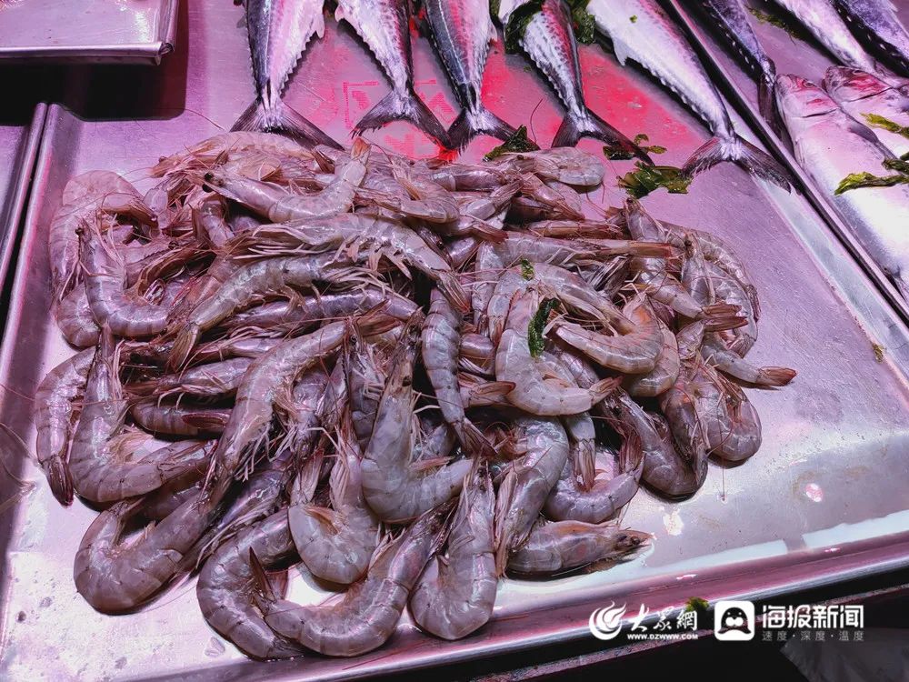 封海前必吃的两种海鲜,青岛封海还有海鲜吃吗