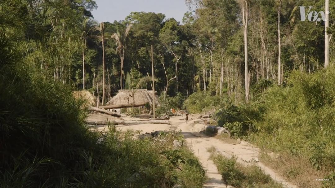 三个月砍掉20个曼哈顿,一年砍掉一个国家,亚马逊已经到了最危急的时候