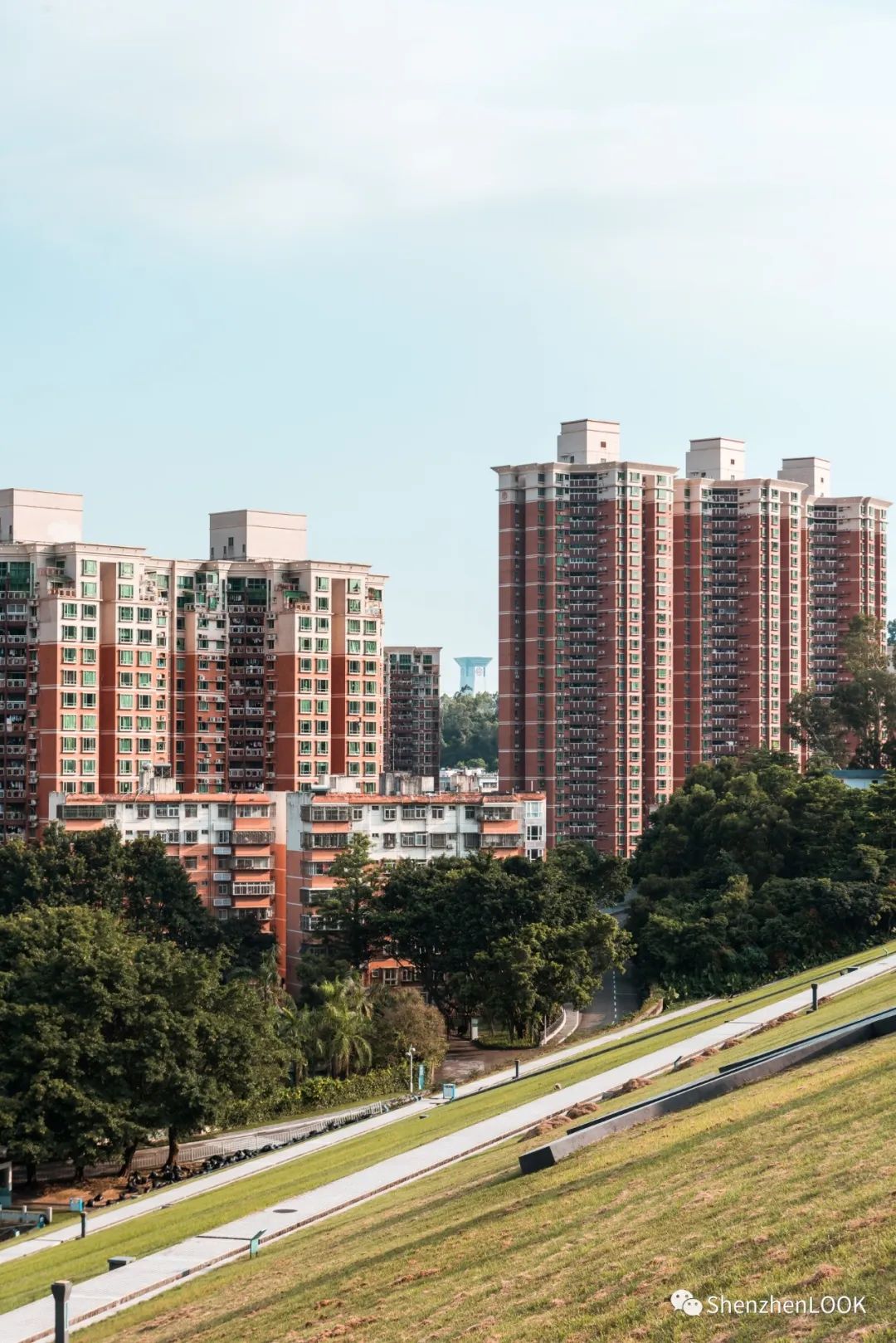 look这是什么牌子的包包,严浩翔说look这是tnt什么舞台