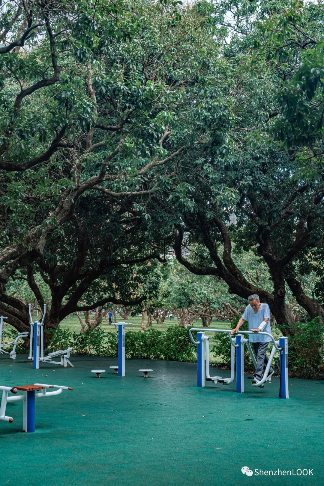 严浩翔说look这是tnt什么舞台,look这是什么牌子的包包