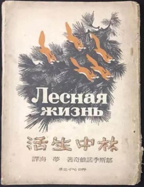 鑸屽皷涓婄殑璇枃缇庨,璇枃璇炬湰缇庨