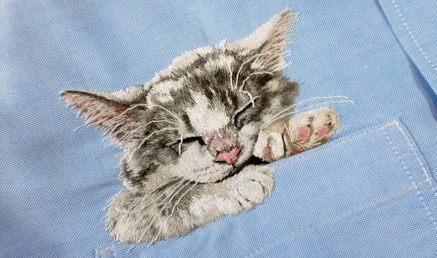 她把喵星人装口袋里，一只300美元