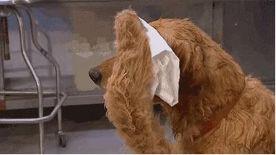 日本高温天气还持续吗,日本温度高达40度