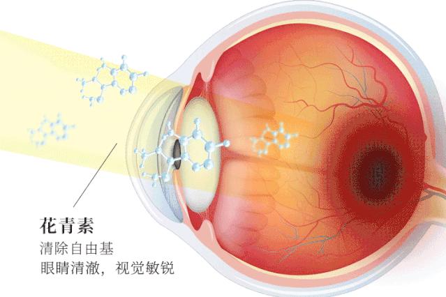 日本眼疲劳干涩护眼液,日本眼科蓝光过滤器