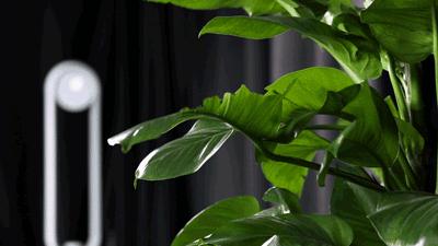 国货无叶风扇,戴森无叶风扇值得入手吗