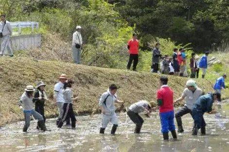 向往的生活带你体验乡间的路,向往的生活田园生活