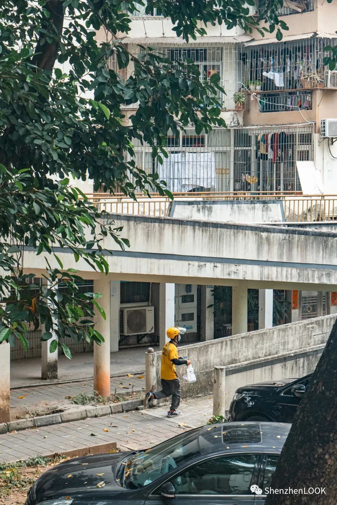 LOOK|这，就是园岭