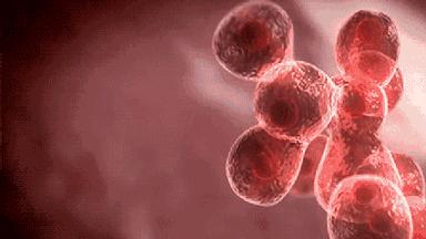 喝胶原蛋白要坚持多久才能有效果,紧急提醒经常喝这个的人要注意了