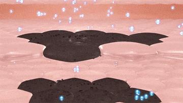 烟酰胺美白淡化精华,修正烟酰胺身体乳美白精华