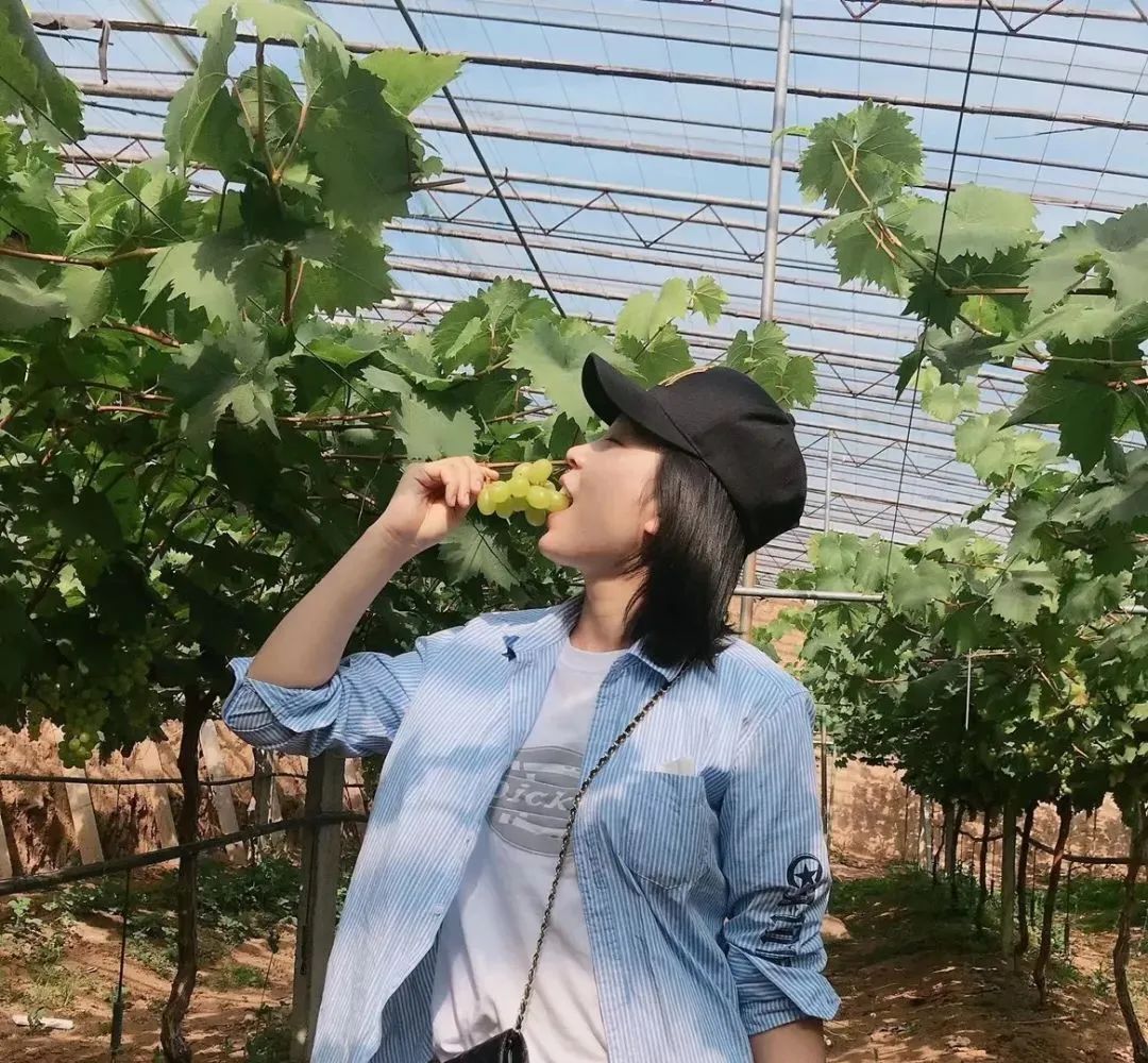 淄博博山区门票免费政策,淄博周边免票