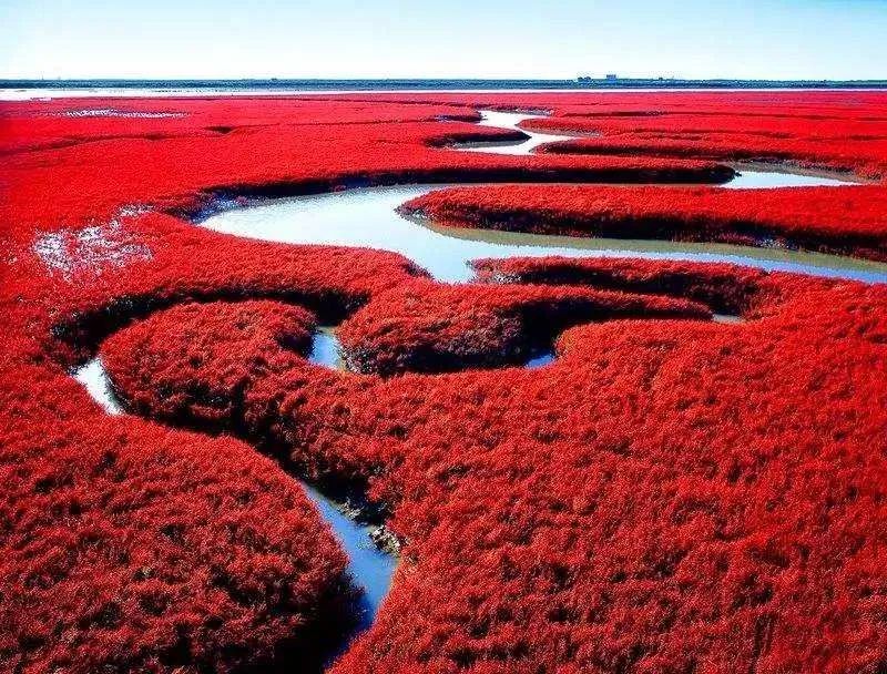 什么是辽宁新六地精神,什么是辽宁农信