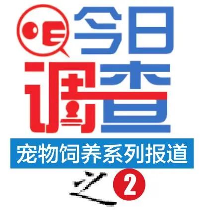 看看大庆人养宠物花了多少钱？吃穿、美容、买保险……