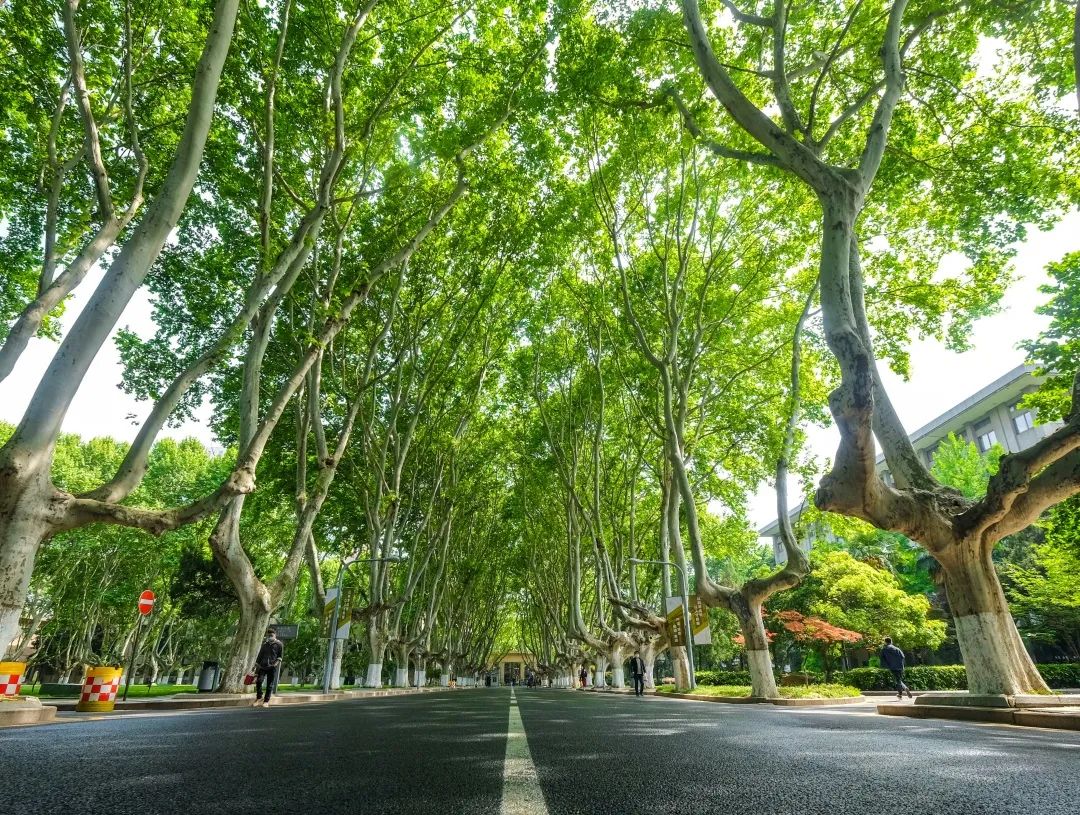 @SEUer！东大“真爱粉”测评来啦