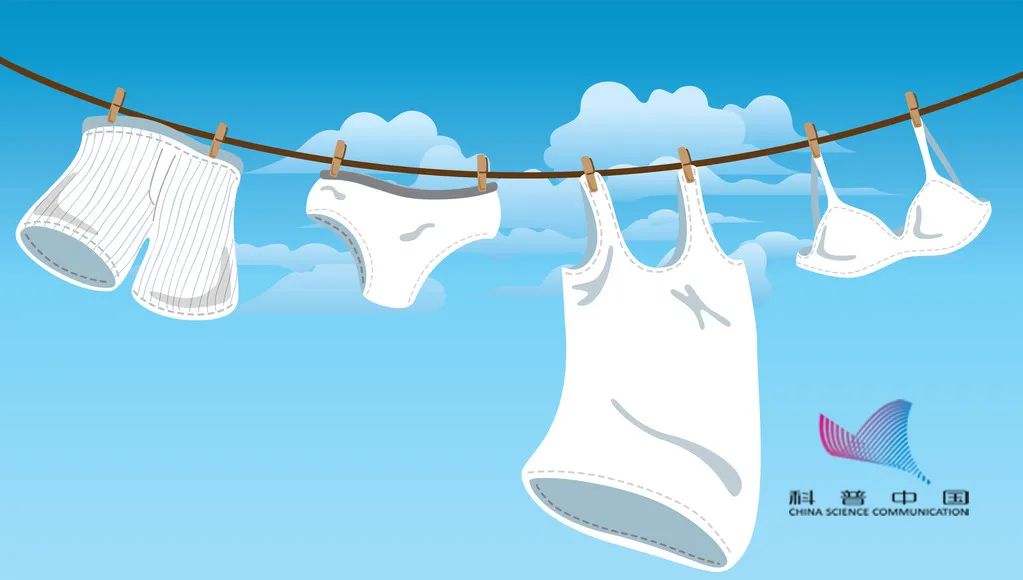 内裤上长期黄分泌物是怎么回事,内裤上的分泌物暗示你的健康