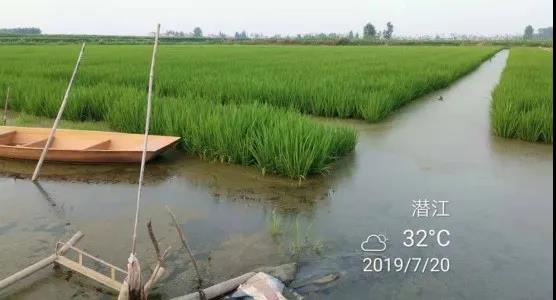 小龙虾困境解决方法,最新小龙虾养殖新模式