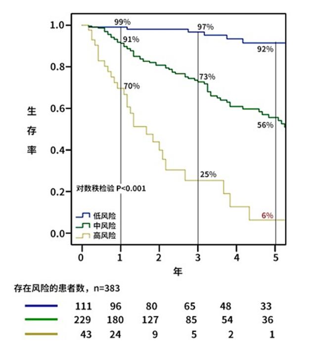 肺动脉高压三联征,肺动脉高压三联药物治疗
