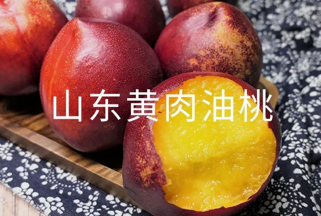 六一礼物高能清单！好玩又益智，大小朋友的快乐源泉