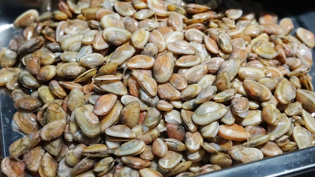 “浙C”注册不下来，愁坏温州老板娘！老乡老乡，真的是背后一枪？