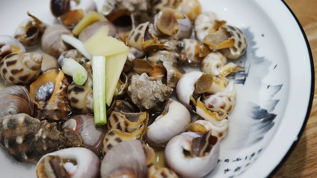 “浙C”注册不下来，愁坏温州老板娘！老乡老乡，真的是背后一枪？