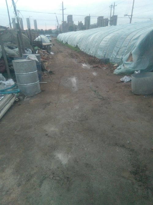 邻里小事引发吵架邻居事后死亡,邻里矛盾担心被投毒