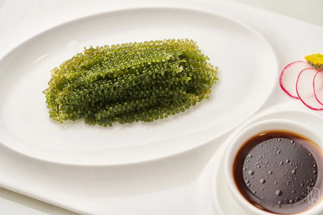 日本河豚料理杭州唯一一家,吃河豚最好的餐厅