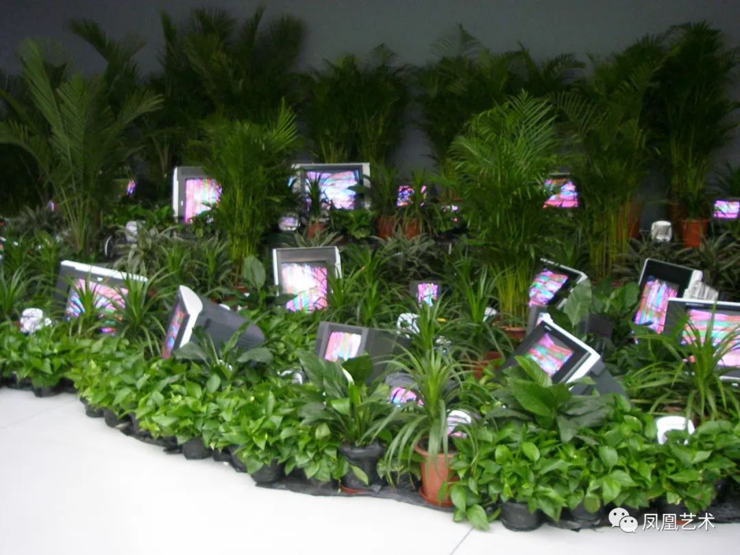 凤凰艺术展示视频,凤凰艺术最新视频