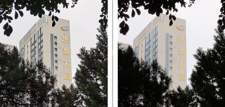 荣耀X10影像评测：4000万和6400万像素，谁更适合你？