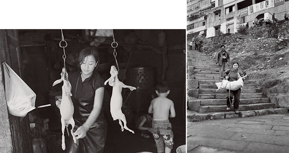 摄影师｜罗怀学：沉于水底永恒的故乡，用摄影向它告别