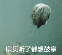 厉害了这家店，福利太大了！奶粉代发3段只需80欧，代购和吃货都不可错过