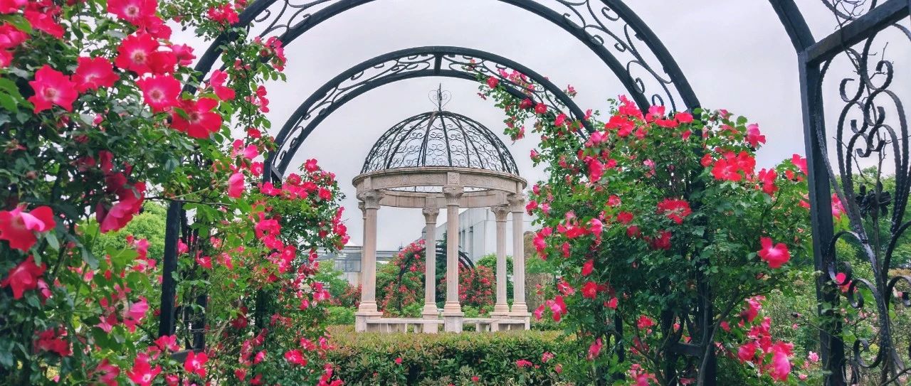 @SEUer！东大“真爱粉”测评来啦