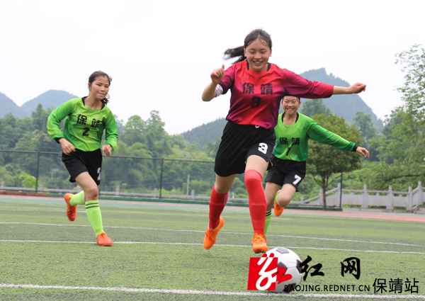 保靖学校,保靖武校