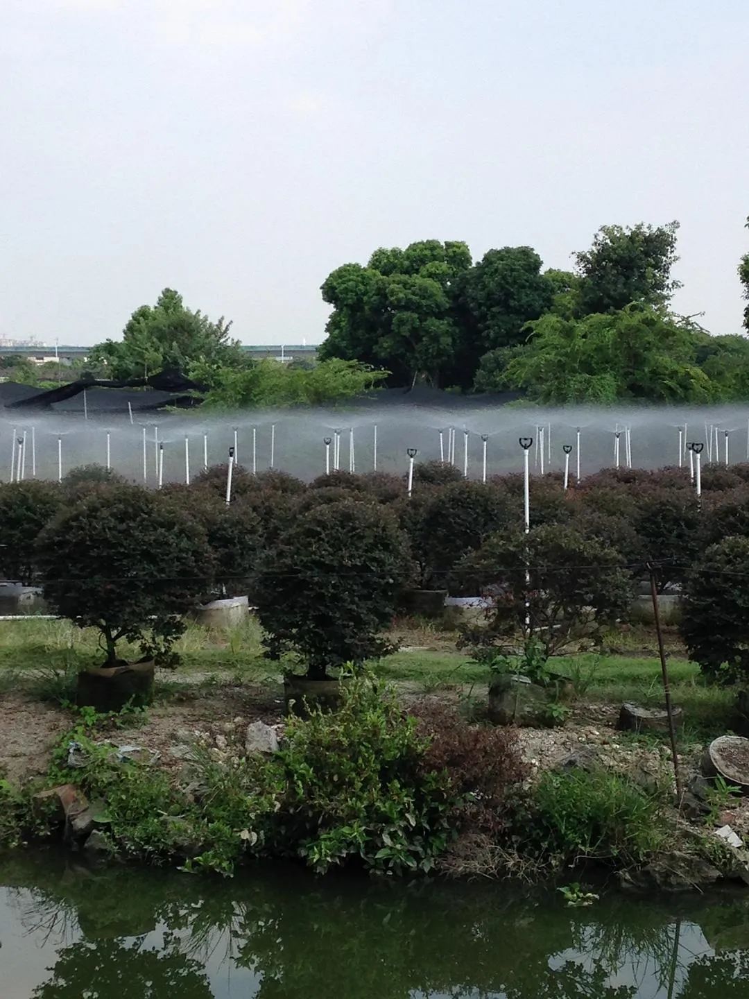 我在物流公司上夜班的一年,我在德邦上夜班的一年