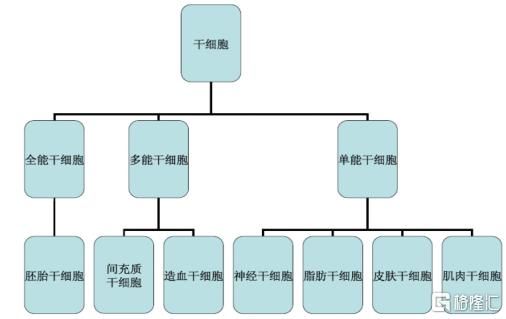 亚洲杂货（8413.HK）“联姻”卡替生物，反向收购之下将如何玩转精准治疗？