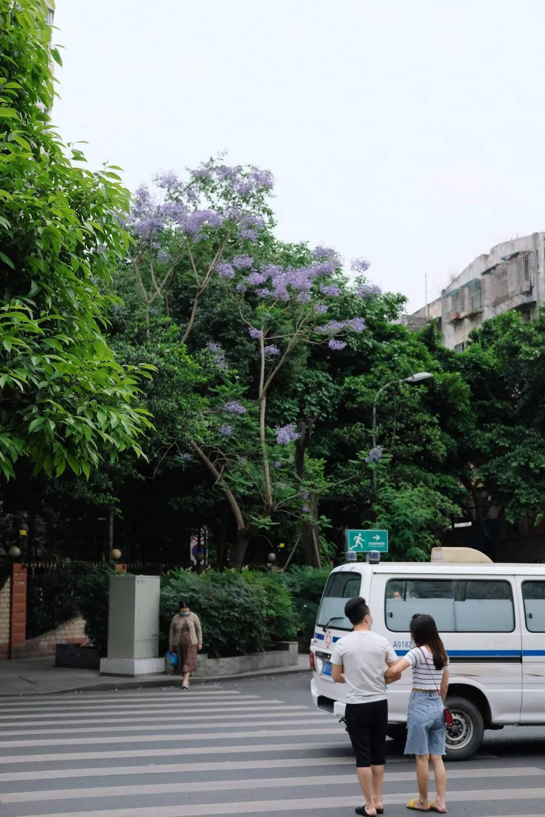 少陵路是属于哪个街道,三年前少陵路