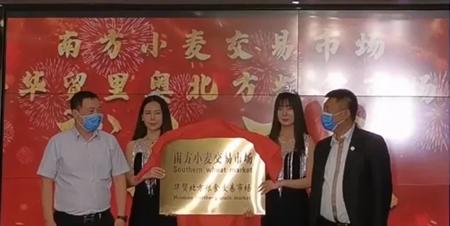 记者采访水稻育苗新闻稿,江苏华穗粮食有限公司