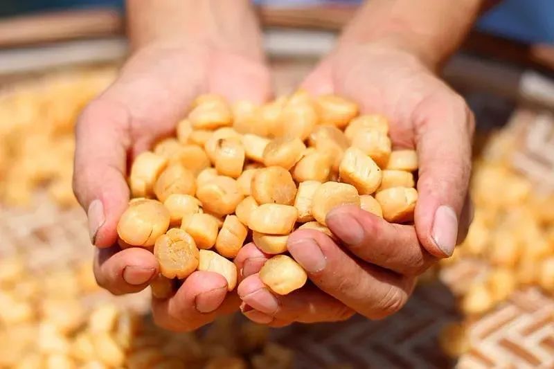 涨知识传统美食,涨知识各地美食