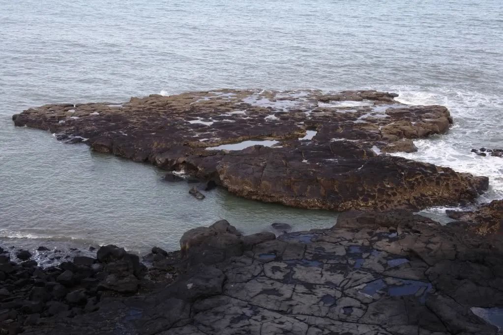 一半是火焰一半是海水啥意思,一半是火焰一半是海水全文