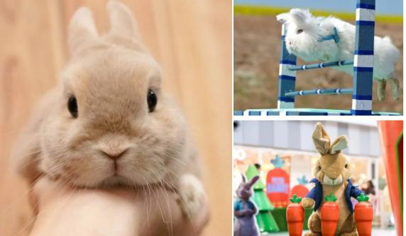 小宝贝解封后秒变“神兽”，这里有魔力啊