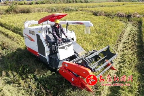 石泉旗帜领航助推乡村全面振兴,石泉县池河镇乡村