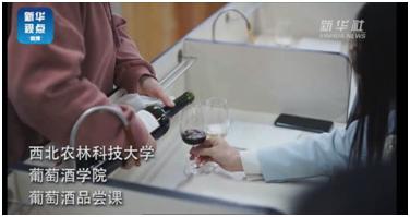 柳州螺蛳粉学院,螺蛳粉学院最新信息