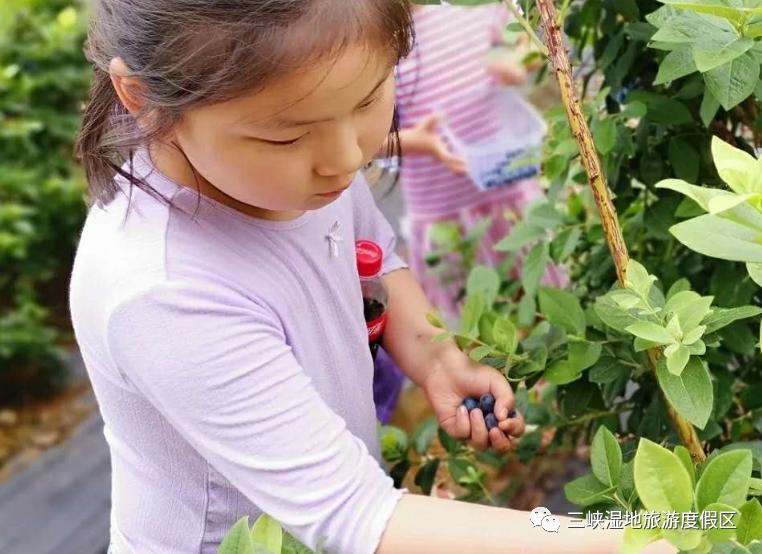 大朋友小朋友,六一去哪嗨?宜昌14家景区特惠福利来袭!