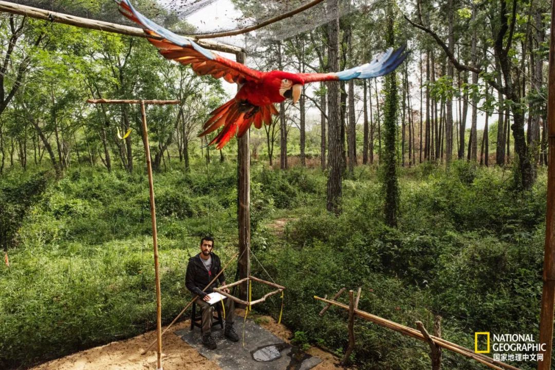 这对夫妇花巨资买下国家公园，居然白送？