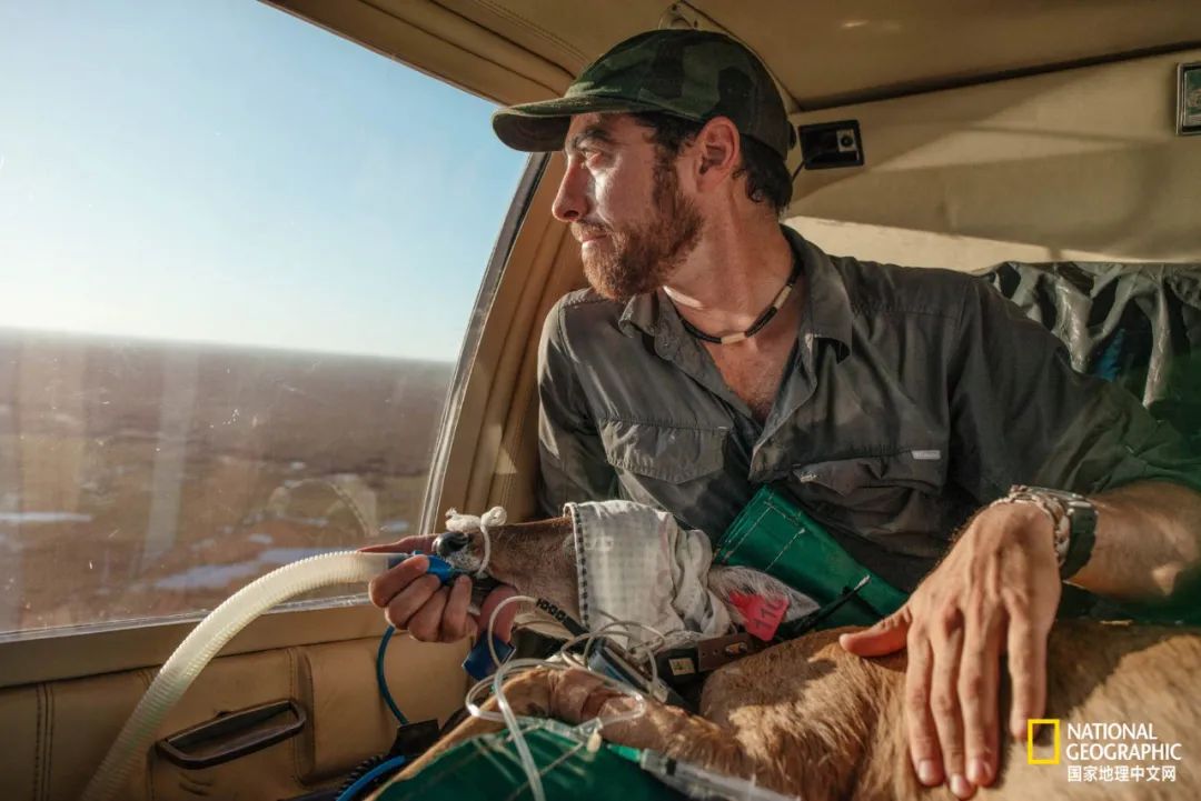 这对夫妇花巨资买下国家公园，居然白送？