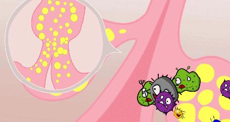 啤酒消痘痘,喝啤酒会消除痘痘吗