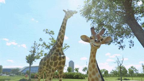 天津市六一都有什么活动,六一假期天津