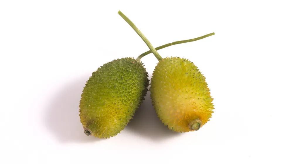 男生身体的小秘密你都知道哪些,女生身体的12个小秘密男生必读篇