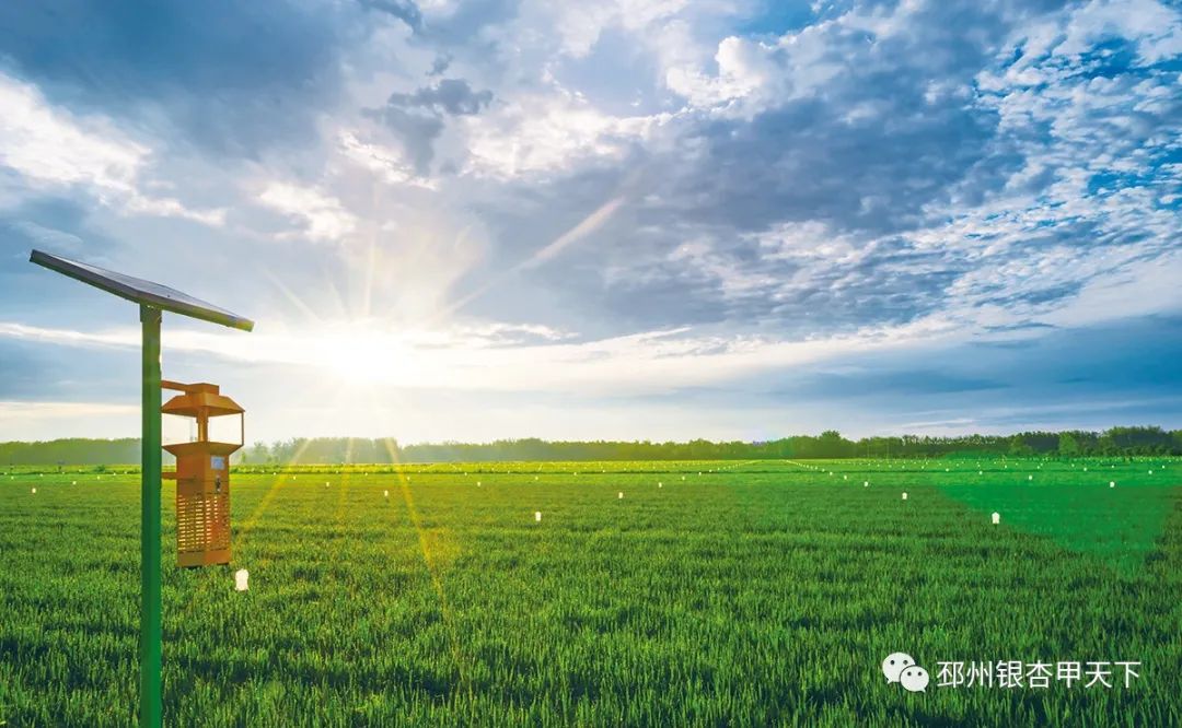 邳州国企招聘最新信息,江苏润城资产2021邳州招聘