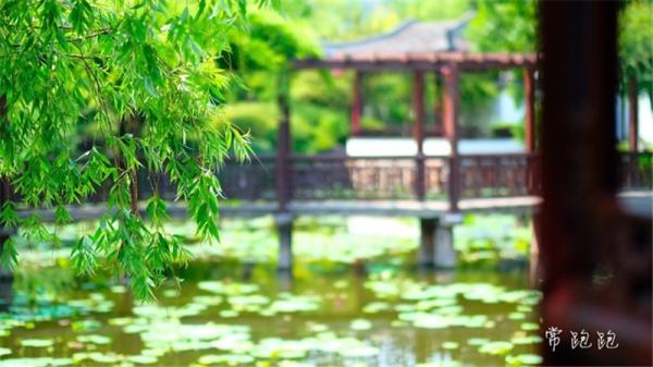 江浙低调的城市,常熟值不值得去